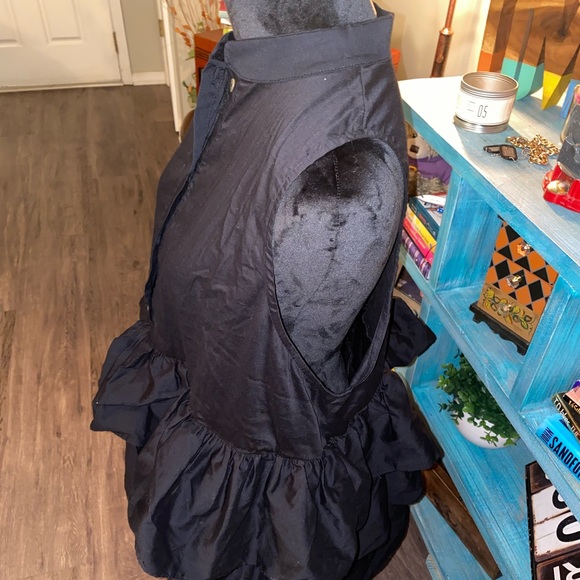 Ruffled up - Picture 3 of 5